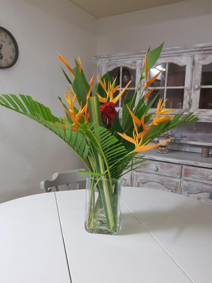 Roy'Al Beach Holidays Sainte-Luce Ngoại thất bức ảnh